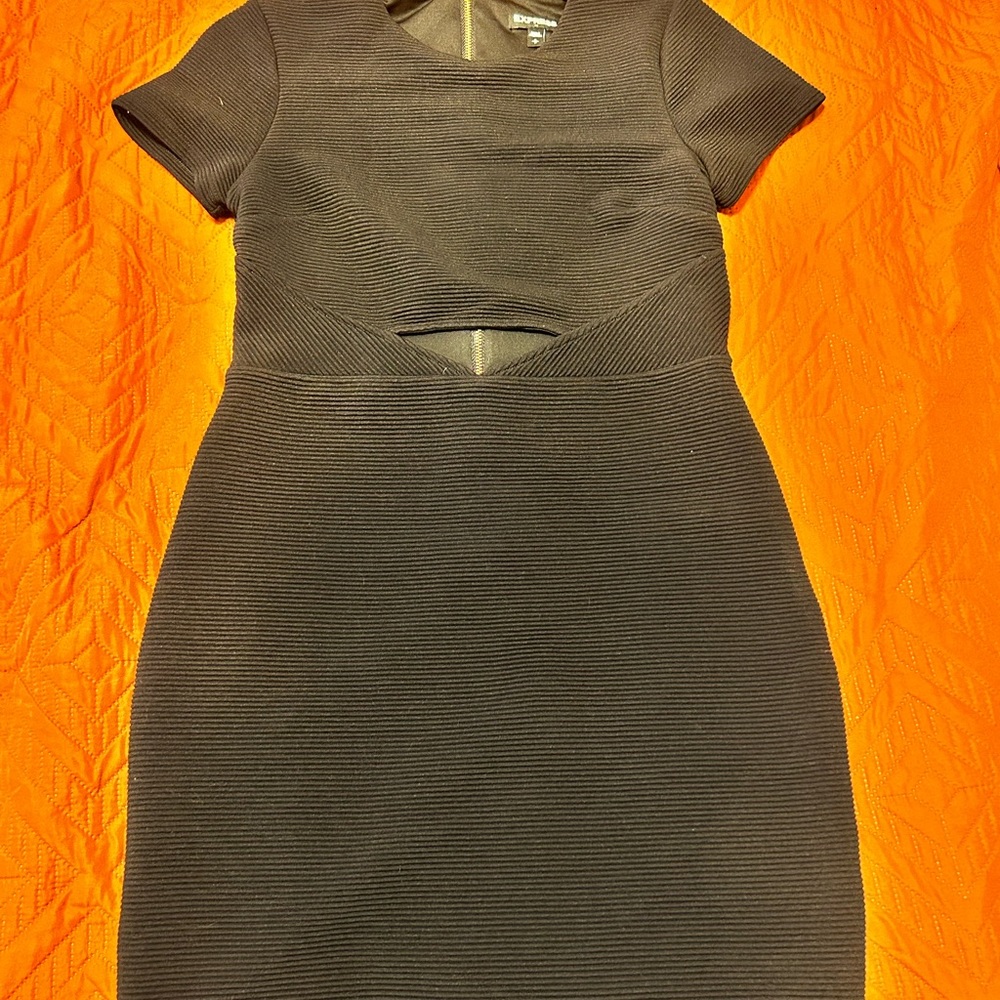 Express Black Ribbed Mini Dress